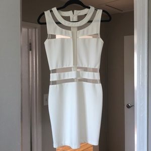 Ivory Mesh Bodycon Dress
